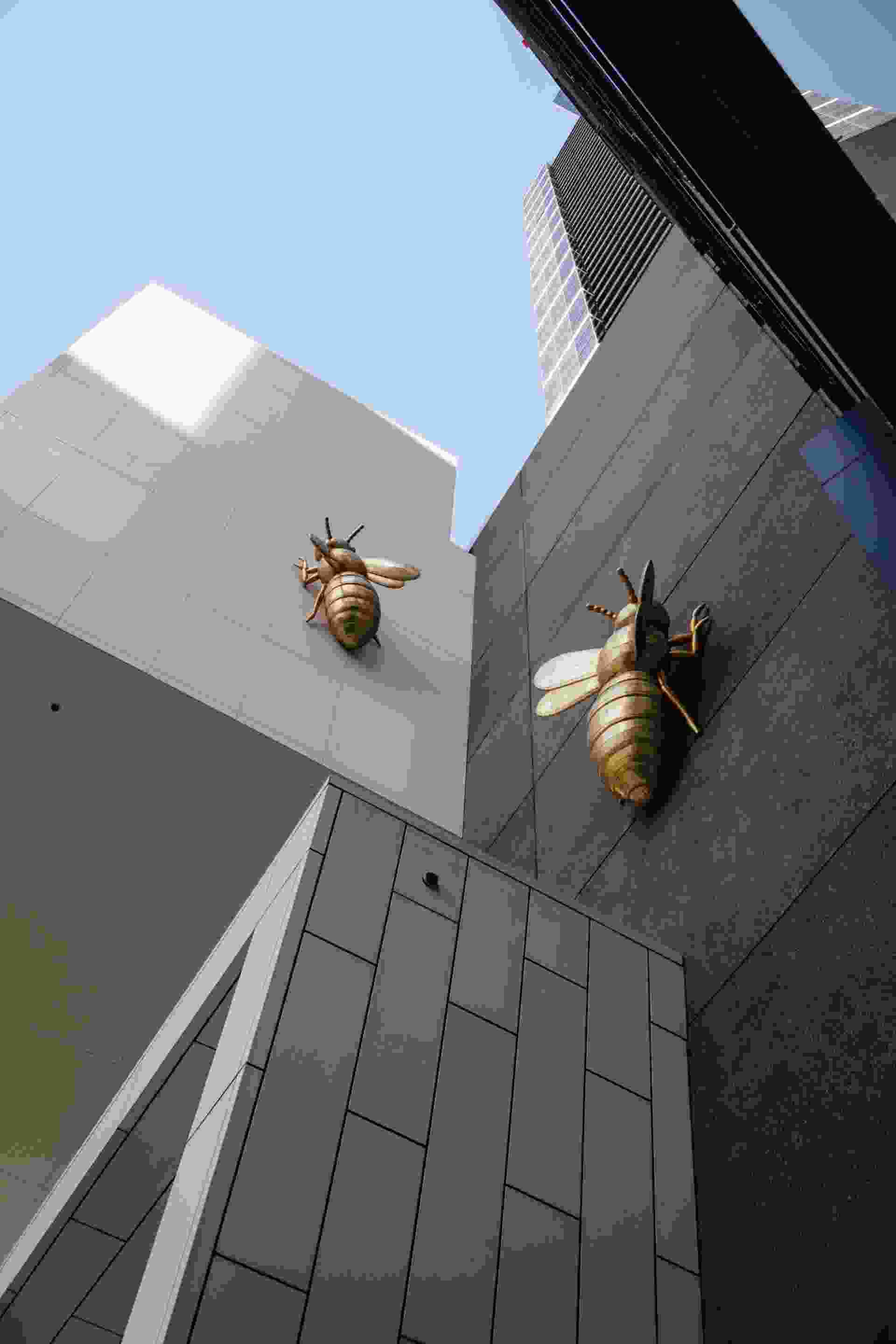 The Queen Bee at the Eureka Tower - Melbourne Southbank Australia